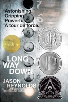 Book cover of Long Way Down