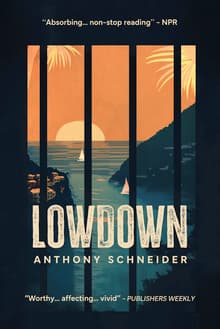 Book cover of Lowdown