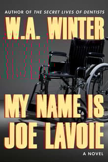 Book cover of My Name Is Joe Lavoie
