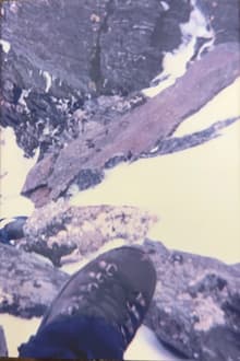 Book cover of Paradox at the Heart