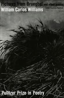 Book cover of Pictures from Brueghel and Other Poems