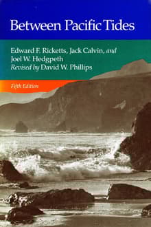 Book cover of Between Pacific Tides
