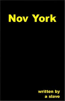Book cover of Nov York