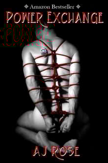 Book cover of Power Exchange