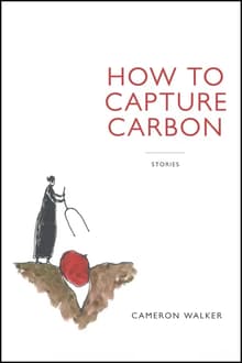 Book cover of How to Capture Carbon