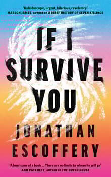 Book cover of If I Survive You
