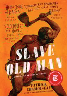 Book cover of Slave Old Man