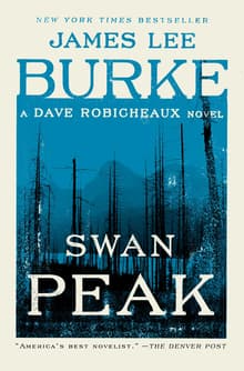 Book cover of Swan Peak