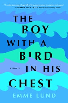 Book cover of The Boy with a Bird in His Chest