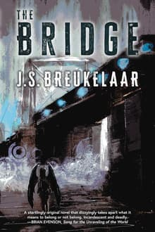 Book cover of The Bridge