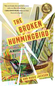 Book cover of The Broken Hummingbird