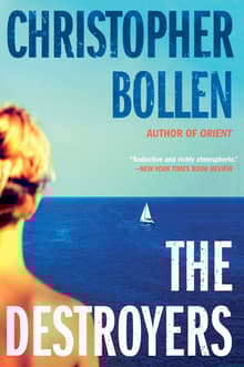 Book cover of The Destroyers