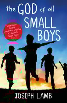 Book cover of The God of All Small Boys