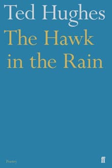 Book cover of The Hawk in the Rain: Poems