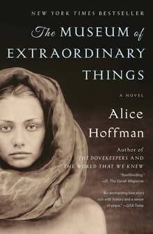 Book cover of The Museum of Extraordinary Things