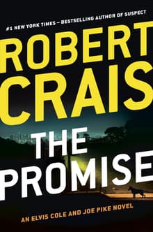 Book cover of The Promise