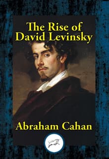 Book cover of The Rise of David Levinsky