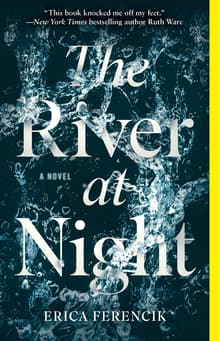 Book cover of The River at Night