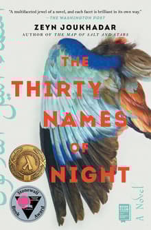 Book cover of The Thirty Names of Night