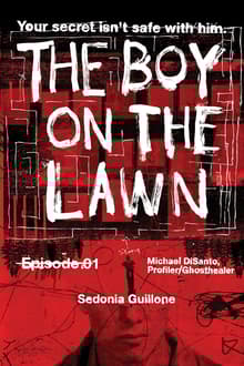 Book cover of The Boy on the Lawn
