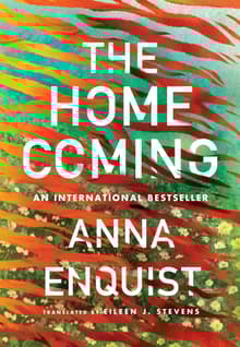 Book cover of The Homecoming