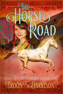 Book cover of The Horse Road