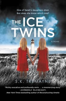 Book cover of The Ice Twins