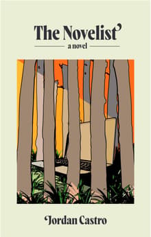 Book cover of The Novelist