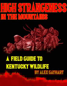 Book cover of High Strangeness in the Mountains: A Field Guide to Kentucky Wildlife