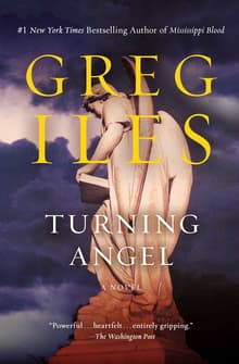 Book cover of Turning Angel