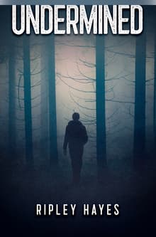 Book cover of Undermined: A Gay Mystery (Daniel Owen Welsh Mysteries)