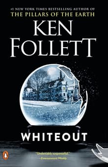 Book cover of Whiteout