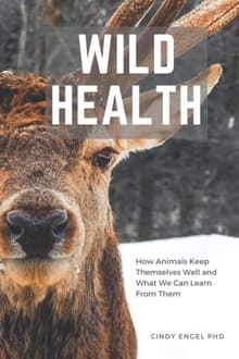 Book cover of Wild Health: How Animals Keep Themselves Well and What We Can Learn from Them
