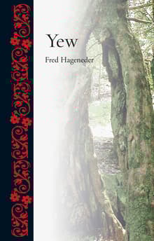 Book cover of Yew